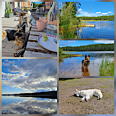 Eyla und Xora August 2025 in Schweden